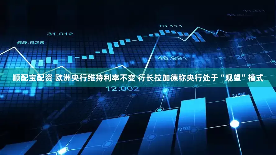 顺配宝配资 欧洲央行维持利率不变 行长拉加德称央行处于“观望”模式