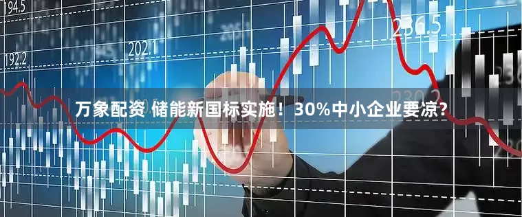 万象配资 储能新国标实施！30%中小企业要凉？